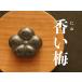 �암�S�� �a�َq�� �S�� �~ �� �����~ �S���⋋ ���Y �암�S�� �S�ʎq �y�x �암�󐶓� �N���t�g �`���H�|�i �l�R�|�X�Ή� �֘A�摜3