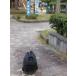 �Č��� ���I�i �������� ���B���Y �@�B������ �V �� ���P�O�O�O�� �֘A�摜5