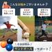 �싅 �T���h�{�[�� �v���C�I�{�[�� �g���[�j���O �s�b�`���[ �{�[�� �E�G�C�g�{�[�� �����A�b�v ���K �v�A�{�[�� �T���h�{�[�� �d�� �{�[�� �\�t�g�{�[�� �֘A�摜1