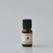 [ официальный фирменный магазин ]JAPAN ESSENCE аромат essence MANGO(10mL)