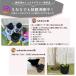 �y�ŒZ���������z �s�D�z�v�����^�[ 5�K���� 5�� 30x25 10�� �s�D�z�|�b�g �z �v�����^�[ �A�ؔ� �y�� �� Nenobil ��PayPay�� �֘A�摜4
