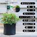 �y�ŒZ���������z �s�D�z�v�����^�[ 12�K���� 6�� 40x35cm �s�D�z�|�b�g 14�� �A�ؔ� ��^ �y�� ��PayPay�� �֘A�摜2