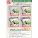 �A���琬���C�g led �u���b�N 2�� �X�^���h �N���b�v �^�C�}�[ �ϗt�A�� �����A�� �����͔| ���� ���C�g 360�x�A�[�� �A���͔|�pled �琬���C�g �֘A�摜3