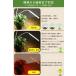 �A���琬���C�g led �z���C�g 1�� �X�^���h �N���b�v �^�C�}�[ �ϗt�A�� �����A�� �����͔| ���� ���C�g 360�x�A�[�� �A���͔|�pled �琬���C�g �֘A�摜4