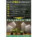 �A���琬���C�g led �u���b�N 4�� �X�^���h �N���b�v �^�C�}�[ �ϗt�A�� �����A�� �����͔| ���� ���C�g 360�x�A�[�� �A���͔|�pled �琬���C�g �֘A�摜1