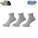  North Face носки бег Anne i-bn dry 3P лодыжка NN82605-GM THE NORTH FACE Running Uneven Dry 3P Ankle[ мужской ][ женский ]