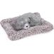 .. собака futon .syasya. быть . лицо ... талант пожалуйста серый 