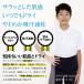 �ڐG�⊴ �|���V���c �� �L�b�Y �h���C���b�V�� ����  ���w�Z ���w�� �X�N�[�� �|�� �q�ǂ��p ���炳��h���C �Q���g �֘A�摜1