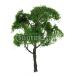  No-brand товар дерево модель tree 1 шт. высота 12cm шкала 1:75 железная дорога модель geo лама 