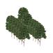  No-brand товар дерево модель tree железная дорога расположение war game .. коллекция The * железная дорога модель * geo лама * строительство модель * электропоезд модель .