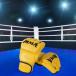 MMA перчатка кикбоксинг перчатка половина палец портативный открытый pa-mz "дышит" будо сумка перчатка перфорирование сумка 