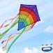  руль крюк . линия B... легко ребенок . взрослый поэтому. большой Rainbow кайт 