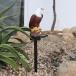  Eagle ornament solar garden stay k light Land scape lamp equipment ornament equipment ornament 