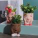 лицо цветок pot цветочный горшок head лицо посадочная машина украшение Mini зеленый растения комплект 