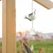jouro утюг ветряной колокольчик новое здание праздник . подарок Wind bell Home сумка оборудование орнамент для белый 