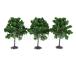  модель дерево дерево tree строительство модель geo лама коробка двор железная дорога пейзаж модель лес ручная работа материал пластик 