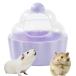  хомяк Sand автобус box мелкие животные автобус house душ ванна хомяк Sand box голубой 