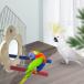  попугай из дерева платформа bird клетка pa-chi Sand kana задний o черепаха длиннохвостый попугай Rav bird 14cmx2cm