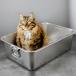  домашнее животное туалет tray кошка туалет крепкий . открытый туалет закрытый кошка 45cmx35cmx10cm