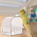  bird автобус еда tray клетка аксессуары клетка для птиц клетка попугай ванна kana задний Rav bird se регулирование длиннохвостый попугай попугай se регулирование длиннохвостый попугай для 