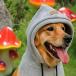  для домашних животных зимний наушники шляпа Parker soft теплый для домашних животных ходьба для средний для больших собак L