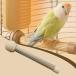  нагревание тип bird pa-chi bird обогреватель compact кусание есть предотвращение клетка аксессуары теплоизоляция post маленькая птица для o черепаха длиннохвостый попугай темно синий go длиннохвостый попугай попугай для 
