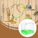  клетка для bird автобус прозрачный подвешивание ниже тип bird автобус игрушка o черепаха длиннохвостый попугай se регулирование длиннохвостый попугай для зеленый 