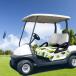  Golf Cart чехол для сиденья легкий микроволокно Golf Cart сиденье полотенце 2 местный . для авокадо 