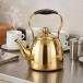  из нержавеющей стали teapot большая вместимость из нержавеющей стали ... держать ... руль для бизнеса чайник высота глянец отделка чай .. имеется pot внезапный скорость .. товары для кухни уличный 