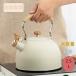  teapot кухня для чай путешествие пикник кухонная утварь teapot для жаростойкий руль для бытового использования свисток чайник 