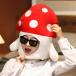  костюм headgear костюмированная игра лента-ободок мужчина девочка украшение украшать .. . шляпа 