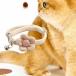  кошка короткое колье колье bell очарование подвеска имеется кошка ремешок на шею bell короткое колье шея одежда легкий собака ошейник собака колье Kitty заяц .
