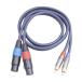 XLR - RCA �P�[�u�� HiFi �X�e���I �X�e���I �R�[�h 2 �E�F�C�`���I�[�f�B�I�ڑ����肵���A���v Hi �V�X�e�� ���C�u