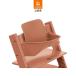  официальный -тактный ke поездка ловушка baby комплект 2 терракота STOKKE TRIPP TRAPP удален возможность осанка поддержка младенец ... гарантия производителя 