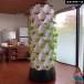  вертикальный гидропонная культура система 10 слой гидропонная культура tower THKJ hyde re-ting насос таймер имеется гидропонная культура комплект трава фрукты овощи для легкий в использовании удобный многоцелевой рекомендация 