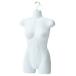  mannequin torso lady's woman _ woman front surface half torso ( delustering type ) arm less white 1 pcs _61-752-74-2_16054-2029