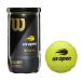 �E�B���\�� WILSON US OPEN EXTRA DUTY �e�j�X�{�[�� 2BALL YEL WRT1000J