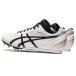  Asics ASICS EFFORT 13 бег шиповки WHITE/BLACK 1093A167.100 бесплатная доставка 