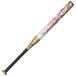  Mizuno MIZUNO soft 12 номер резина мяч для AX4 бейсбол подросток софтбол bado Junior 80 белый x Gold 1CJFS62480 0150 бесплатная доставка 