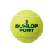  Dunlop DUNLOP Dunlop four to2 лампочка жестяная банка ракетка спорт теннис мяч унисекс DFFYL2TIN