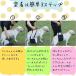 �n�[�l�X ��� �� �ȒP �t���[�X ���s �⏕ � �T�|�[�g �V�� ���� ���� ��^�� ���^�� ���^�� �w���X�P�A �S�g �E���Ȃ� �O�� �㑫 �֘A�摜4