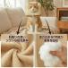 �G���U�x�X�J���[ �L �_�炩�� �� �y�� �p�� �����ی� ��� ���r�� �h�~ �����\ �N�b�V���� �p��E�F�A �H�p�� �A�{�J�h �p�C�i�b�v�� �s�[�` S M L�T�C�Y �֘A�摜5