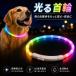  светится ошейник собака Rainbow радуга цвет LED заряжающийся Type-C свет безопасность авария предотвращение размер регулировка силикон мягкий выпадение предотвращение крепкий легкий водонепроницаемый маленький размер собака средний собака большой собака прогулка ночь дорога 