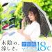 ���P �܂肽���� ���f�B�[�X ���J���p UV�J�b�g��99%�ȏ� �Ռ���99%�ȏ� UPF50+ �ՔM