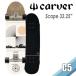 CARVER CarVer скейтборд Scape scape 32.25~ Surf skate C5 грузовик суша tore серфинг тренировка для long ske Япония стандартный товар 