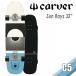CARVER CarVer скейтборд Sun Rays солнечный Rays 32~ Surf skate C5 грузовик суша tore серфинг тренировка для long ske Япония стандартный товар 