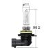 KOITO(����) �w�b�h�����v�p�n���Q���o���u HIR2 12V 55W P0451 STRAIGHT/13-0451 (KOITO/�R�C�g)