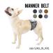 [S-XXL size ] MANDARINE BROTHERS man da Lynn Brothers manner belt dog dog wear Denim stripe etiquette marking MANNER BELT