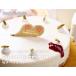 W�`�[�Y�^���g 5�� 15cm�a �����i �M�t�g �v���[���g �a���� �P�[�L ���N���[�� ���A�`�[�Y �x�C�N�h�`�[�Y �X�g���x���[�t�B�[���Y �kW�`�[�Y�^���g�l �֘A�摜1