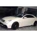 BENZ 륻ǥ ٥ W219 CLS WA ֥å꡼ ե륨å ե ꥢ Хѡ ե ɥƥå ǥ饤դ WA LD